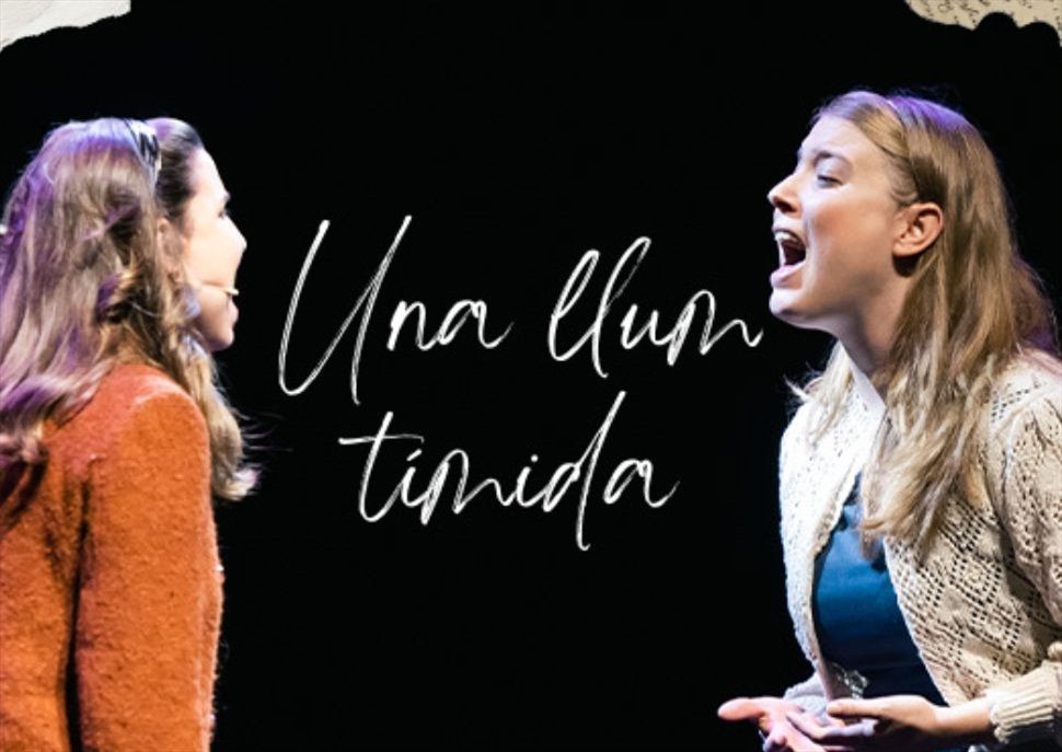 Aniversari Una llum tímida