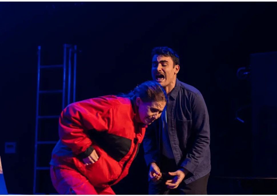 Polles, polles, polles