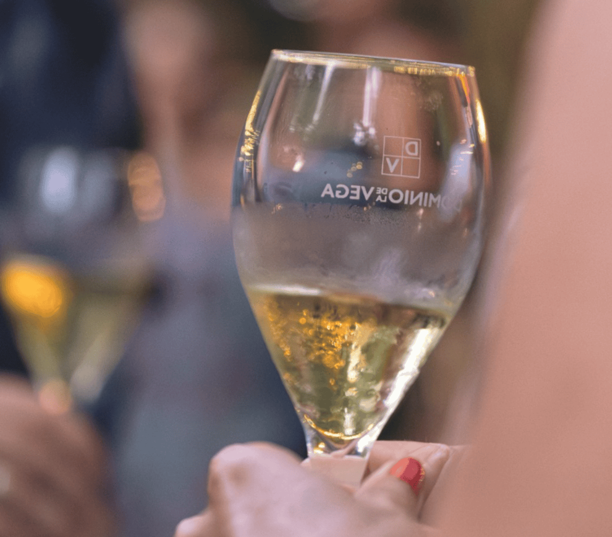 Te invitamos a una cata de Cavas