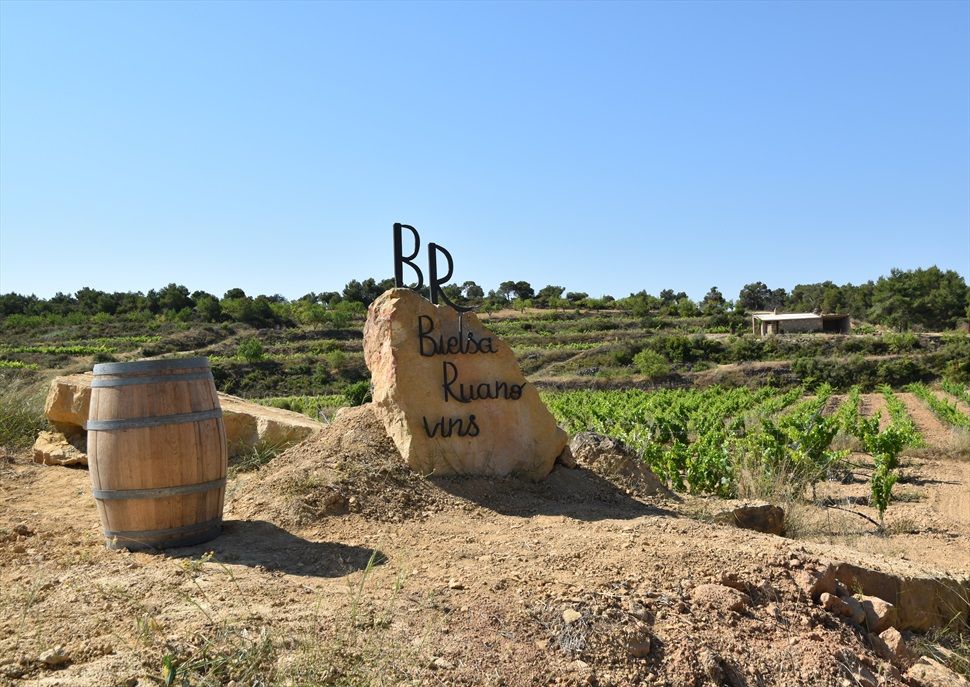 Visita i tast al Celler Bielsa Ruano