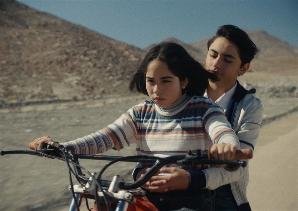 La misteriosa mirada del flamenco