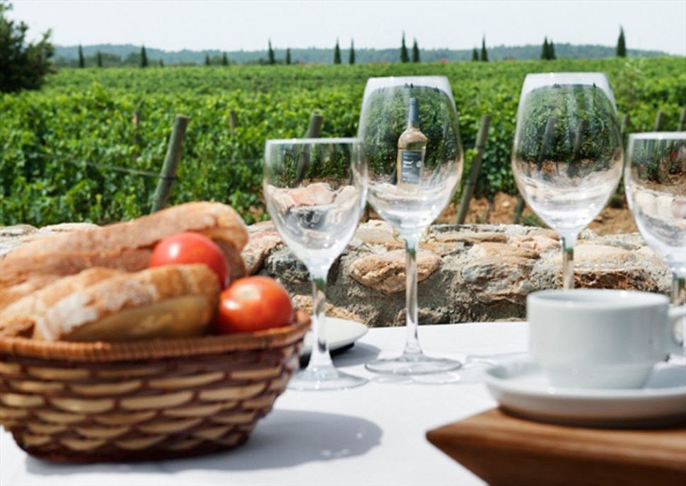 Esmorzar entre vinyes al Celler La Vinyeta