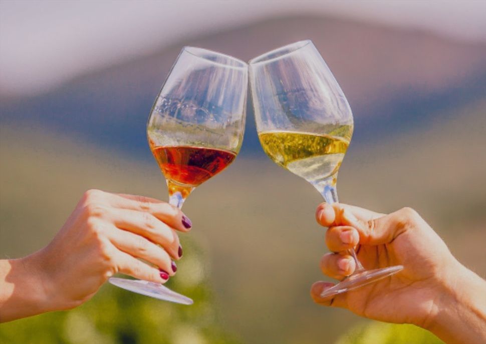 Esmorzar i visita a Empordàlia