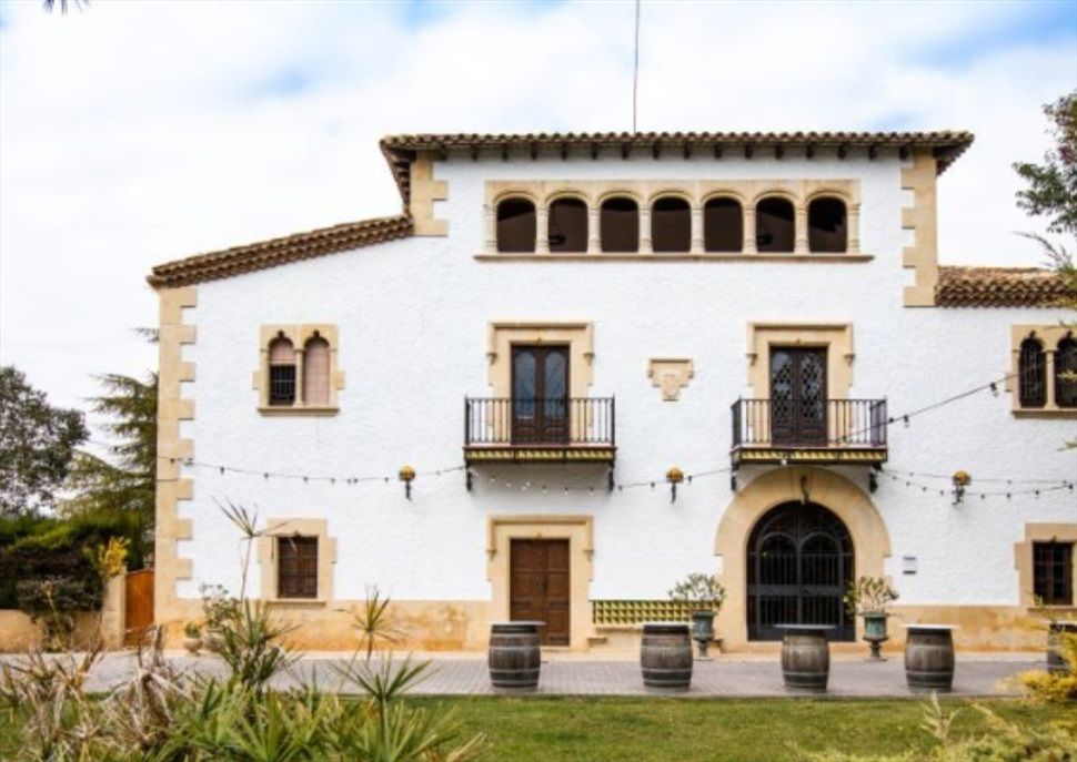 El despertar de la vinya amb esmorzar de productes km.0