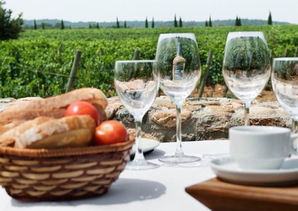 Esmorzar entre vinyes al Celler La Vinyeta