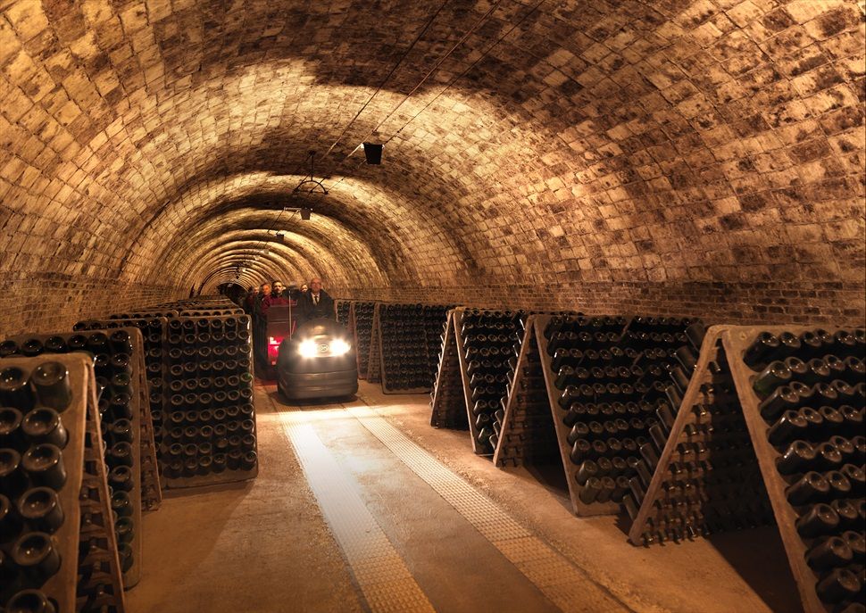 Heritage Tour a Codorníu